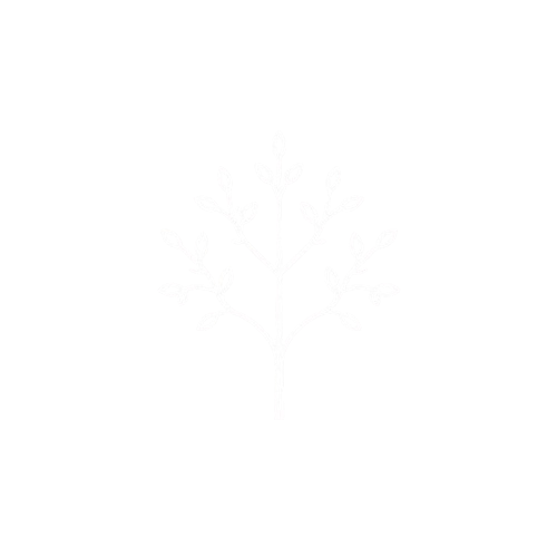 Clarity